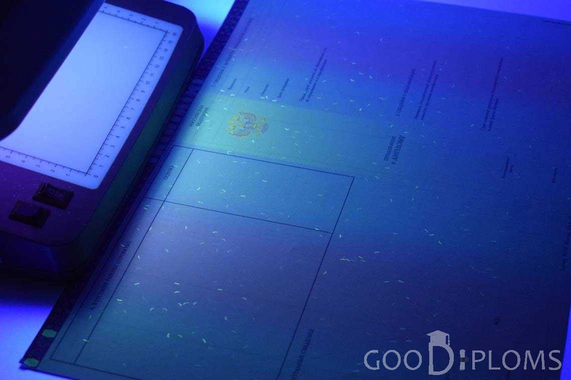 Приложение к Диплому Бакалавра с Отличием в Ультрафиолете период c 2013 по 2025 год - Назрань