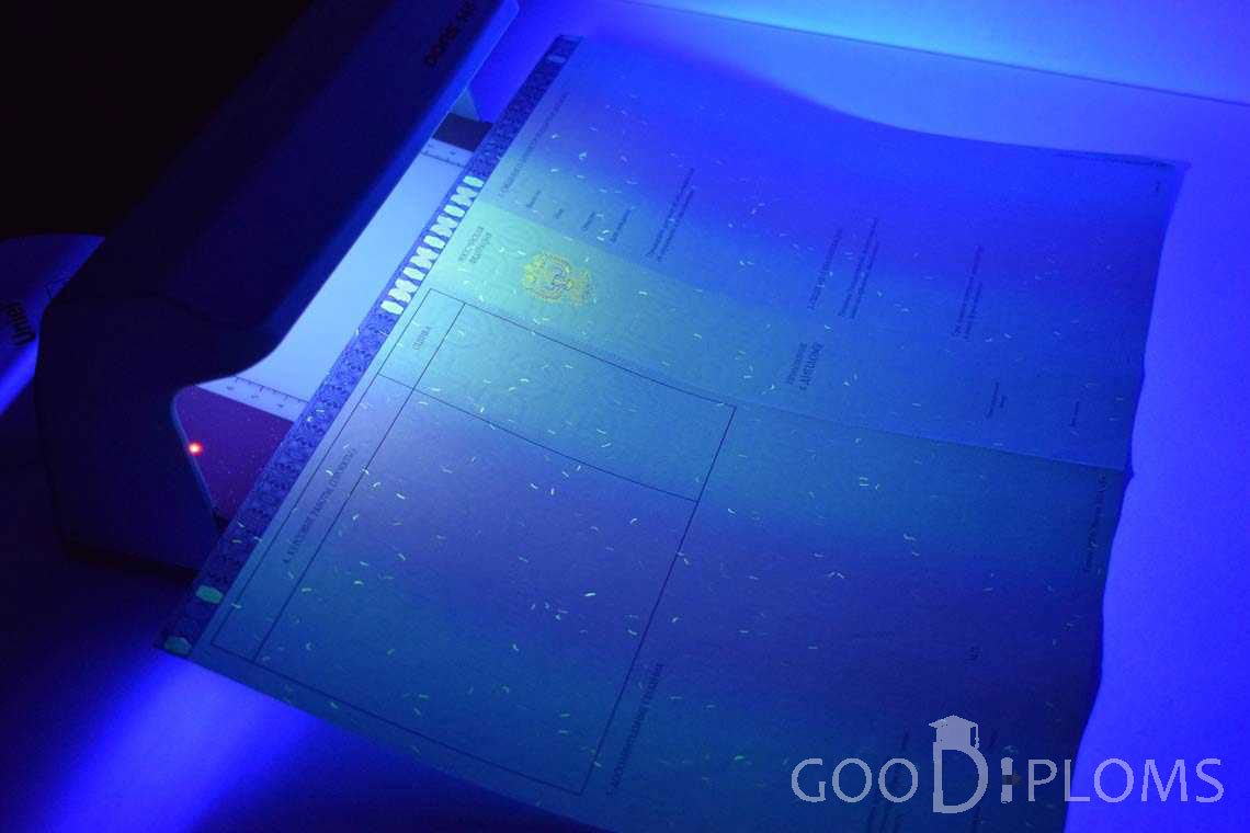 Приложение к Диплому Магистра в Ультрафиолете в период c 2014 по 2025 год - Назрань